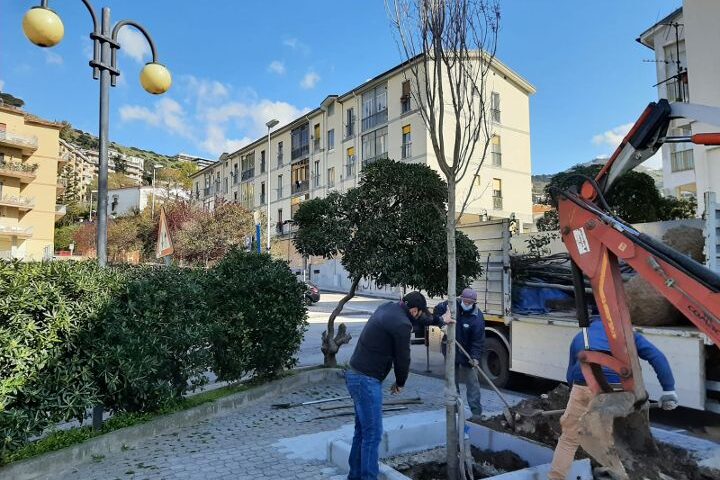 Salerno, Torrione si fa più verde con 16 nuovi alberi