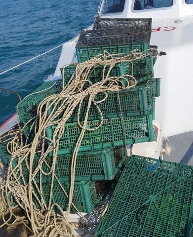 PESCA ILLEGALE A SALERNO: SEQUESTRI DELLA GUARDIA COSTIERA IN VIA ALLENDE