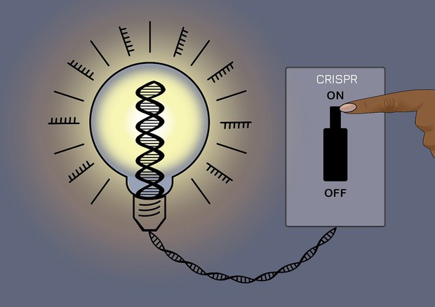 Nuova Crispr reversibile, regola i geni senza alterare il Dna