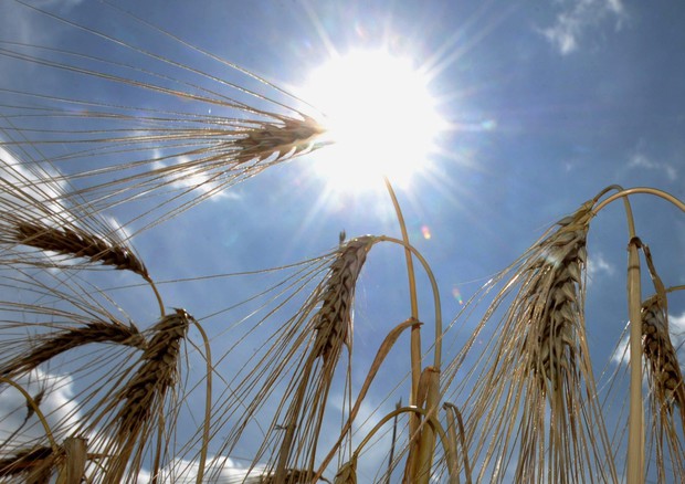 Onu: cambiamenti climatici implacabili, ‘doppio colpo’ con il Covid