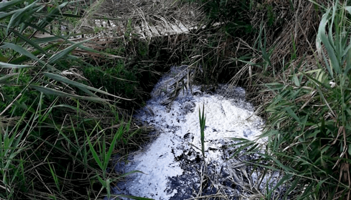 Inquinamento del fiume Sele: 13 imprenditori indagati