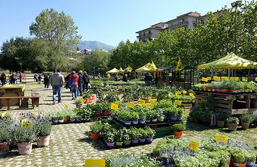 Domani e domenica torna “Salerno in Flora”, evento dedicato al Florovivaismo