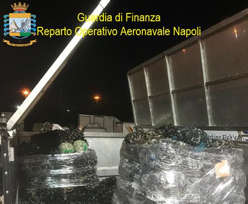 Maxi sequestro di pesce ai mercati ittici di Mugnano e Salerno