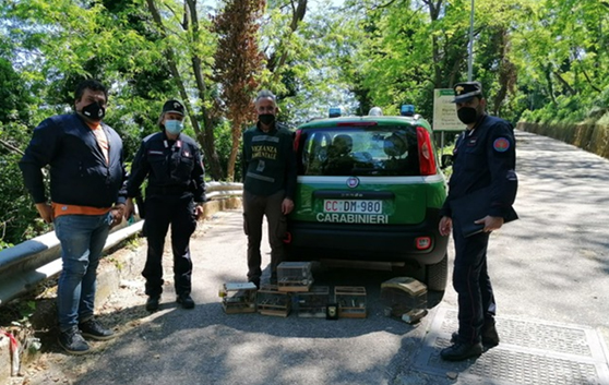 Tutela della fauna, ad Angri liberati cardellini illecitamente detenuti