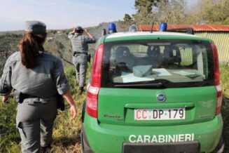 Lavori di sbancamento abusivi a Giffoni Valle Piana, denunciato titolare di un castagneto