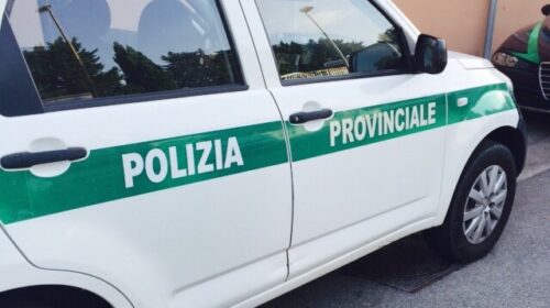 Salerno, il Tar: legittima la soppressione del corpo di polizia provinciale