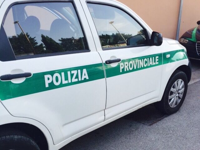 Anche la polizia provinciale a controllo della movida di Salerno