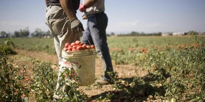 Muore nei campi un migrante di 27 anni residente a Eboli