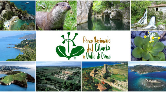 PARCO NAZIONALE DEL CILENTO. UN BANDO PER LE AZIENDE CHE OPERANO NEI CONFINI DELL’ENTE