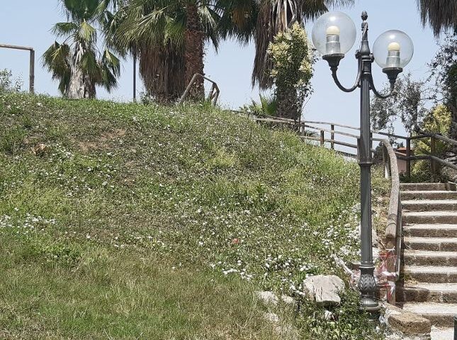 Troppe api nel Parco urbano di San Marzano sul Sarno, scatta la denuncia del gruppo consiliare “Noi sempre tra Voi”