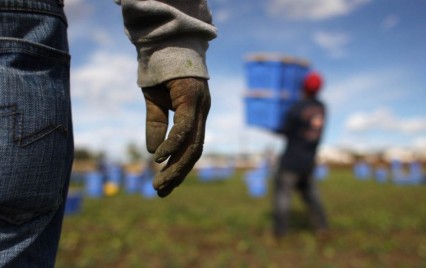 Caporalato nel Salernitano, martedì i risultati dei controlli a tappeto