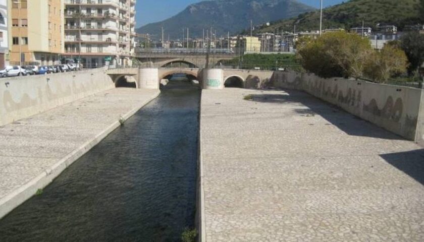 Orrore a Salerno, cane chiuso in una valigia e gettato nel fiume