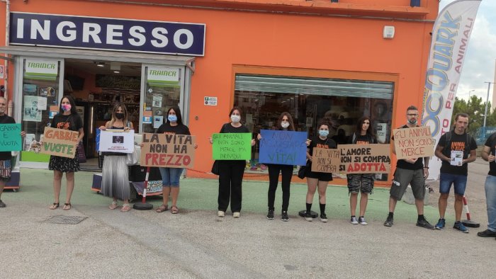 La vita non si compra, nuova mobilitazione degli animalisti salernitani