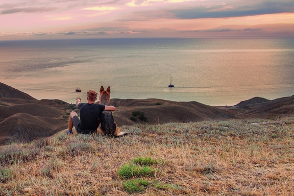 In vacanza con Fido per la giornata del cane