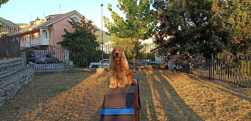 “PARCO DOLCE VITA”, INAUGURATA LA PRIMA AREA DI SGAMBAMENTO PER CANI NEL COMUNE DI GIFFONI VALLE PIANA