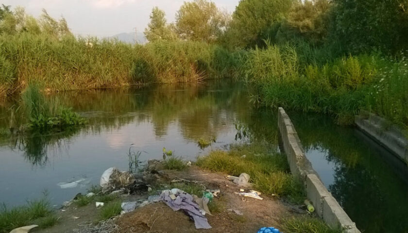 Nocera Inferiore, canne invadono il torrente dopo l’incendio: rischio allagamenti