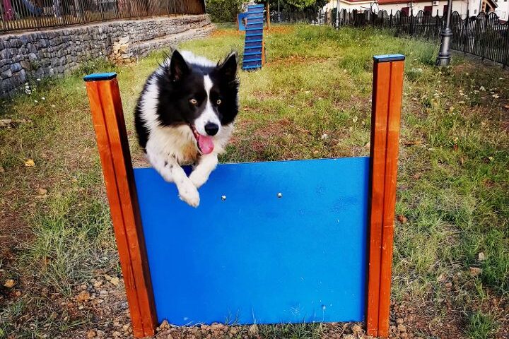 GIFFONI VALLE PIANA, DOMANI L’INAUGURAZIONE DELLA PRIMA STORICA AREA DI SGAMBAMENTO PER CANI