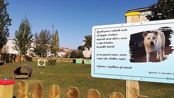 DOG PARK A BARONISSI, IN 25 GIORNI TRE VOLTE GIÙ’ IL CANCELLETTO D’INGRESSO