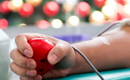 Camerota, navette per donare il sangue: “Adesioni chiuse, siamo una grande famiglia”