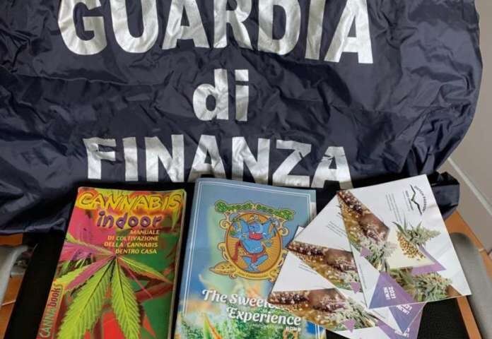 Droga tra le piante di mais, arrestato ad Agropoli giovane coltivatore