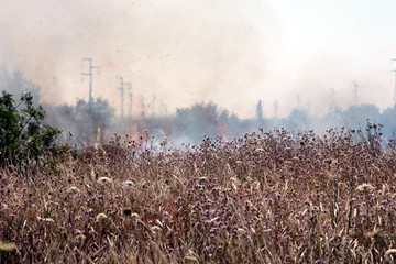 Incendio in provincia di Potenza, salernitano nei guai