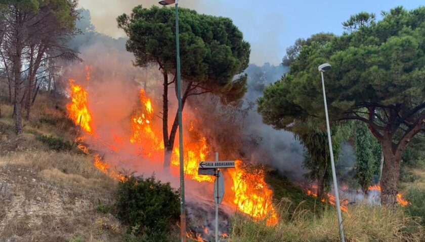 Incendi a Salerno, Cammarota: “La città rischia grosso senza prevenzione”