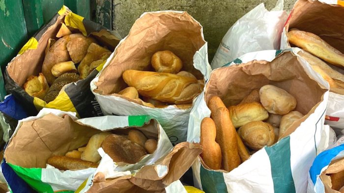 I panificatori Salerno consegnano 30 sacchi di pane alla Lega per il cane