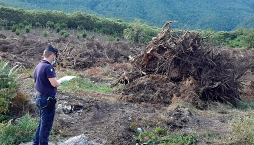 Lavori in zona a vincolo paesaggistico ad Acerno: sequestro e denuncia