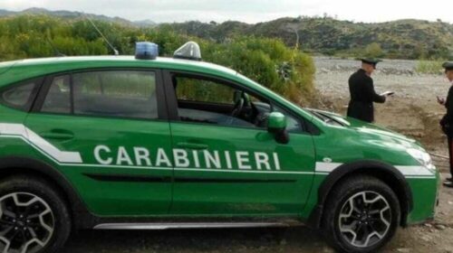 Abusi edilizi nel parco nazionale del Cilento, blitz dei carabinieri