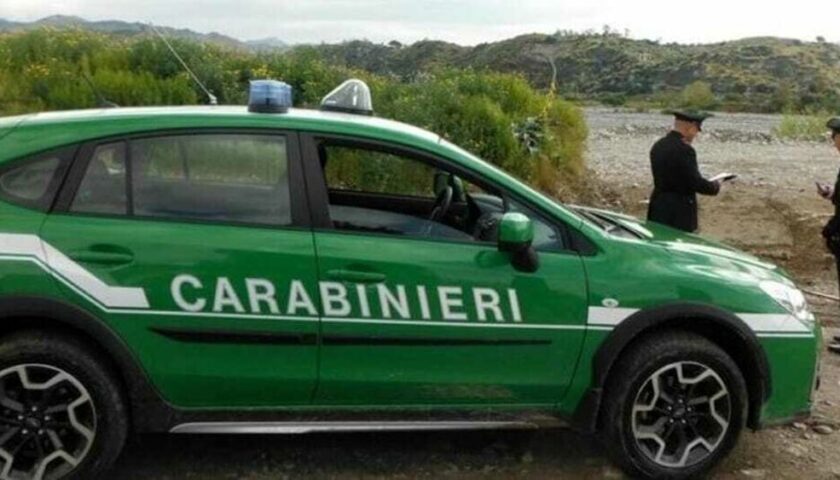 Operazione anti bracconaggio nel Salernitano: 104 denunce, sequestri e multe per 32mila euro
