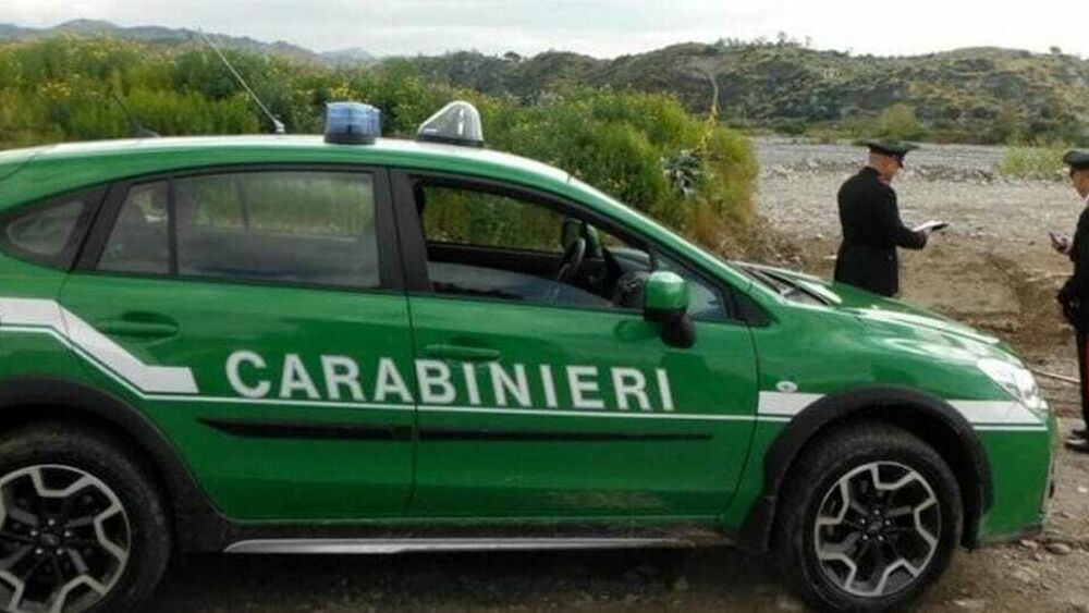 Azienda zootecnica sotto sequestro per sversamento di digestato nel fiume a Capaccio Paestum