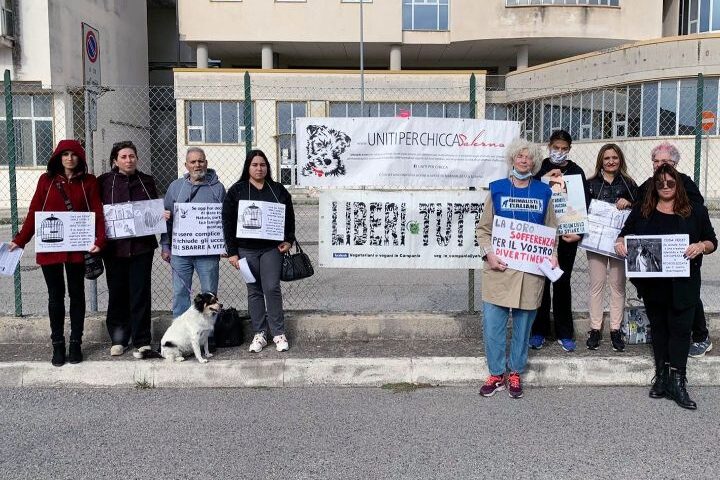 Centro Agroalimentare Salerno, sit in degli animalisti