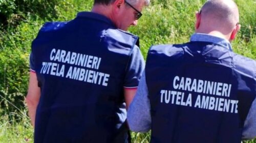 Inquinamento del Sarno, azienda sotto sequestro Inquinamento del Sarno, azienda sotto sequestro