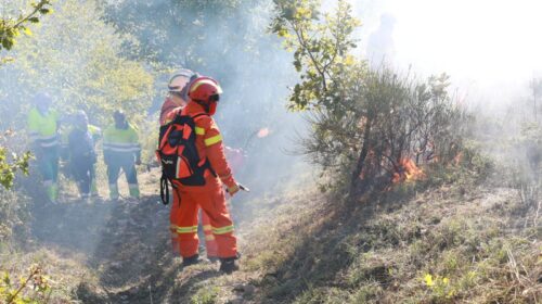 Incendi boschivi, Protezione civile Regione Campania in azione a  Pellezzano e Somma Vesuviana