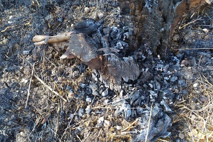 Amministrative di Battipaglia (M5S) Farina: “A fuoco il terreno di famiglia. Noi però non indietreggiamo”
