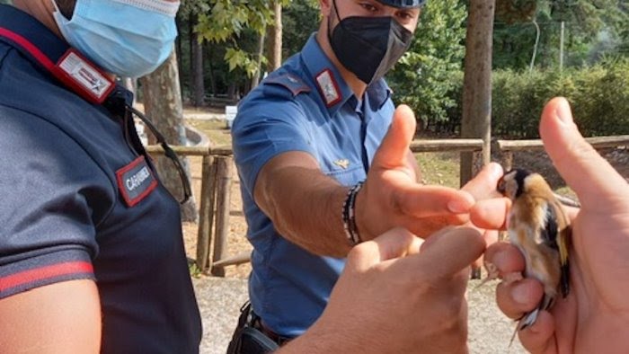 Richiami sonori per la caccia, nei guai due cacciatori a Eboli