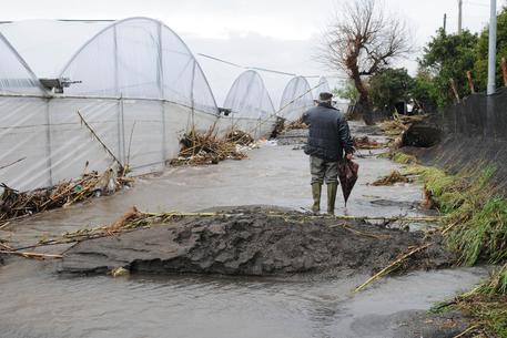 Cammarano: “Maltempo, agro nocerino-sarnese in ginocchio. Servono misure urgenti”