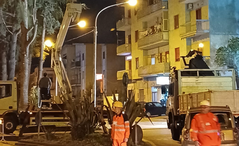 Alberi abbattuti a San Marzano sul Sarno, il gruppo “Noi sempre tra voi” boccia le giustificazioni della maggioranza