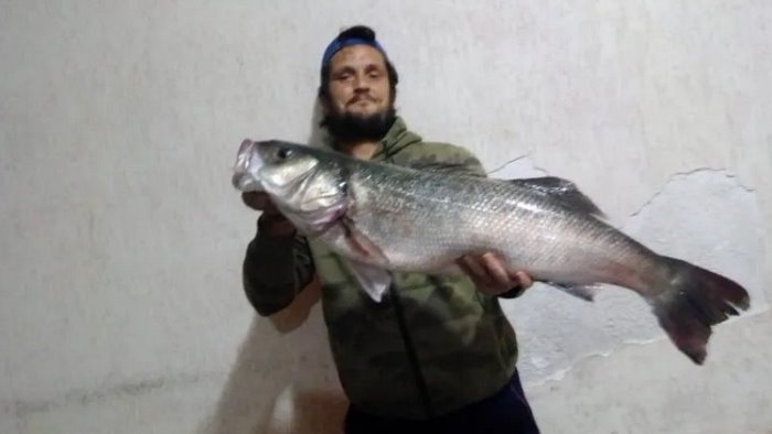 Pesca grossa a Sapri, catturata un spigola lunga 80 centimetri e dal peso di 9 chili