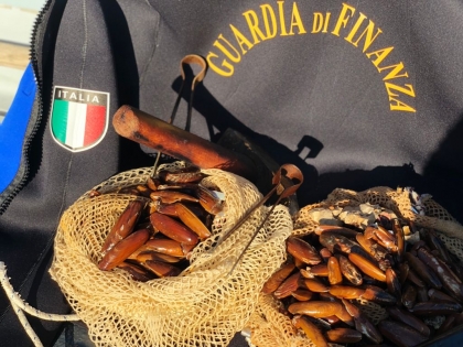 Mano pesante della Procura per un pescatore del dattero di mare a Punta Campanella: chiesti 12 anni di carcere