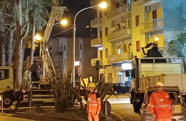 Alberi abbattuti a San Marzano sul Sarno, la minoranza chiede un consiglio comunale monotematico sul caso