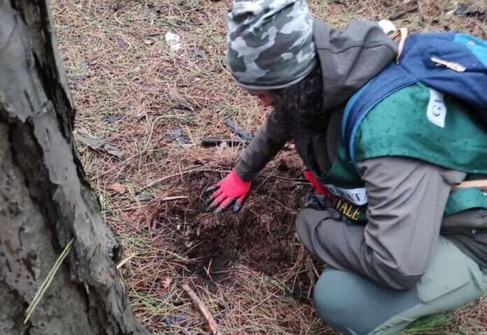 Controlli sui raccoglitori di tartufi