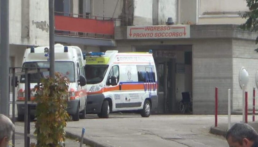 Paura a Rofrano, 58enne fa un volo di 6 metri da un albero di castagne