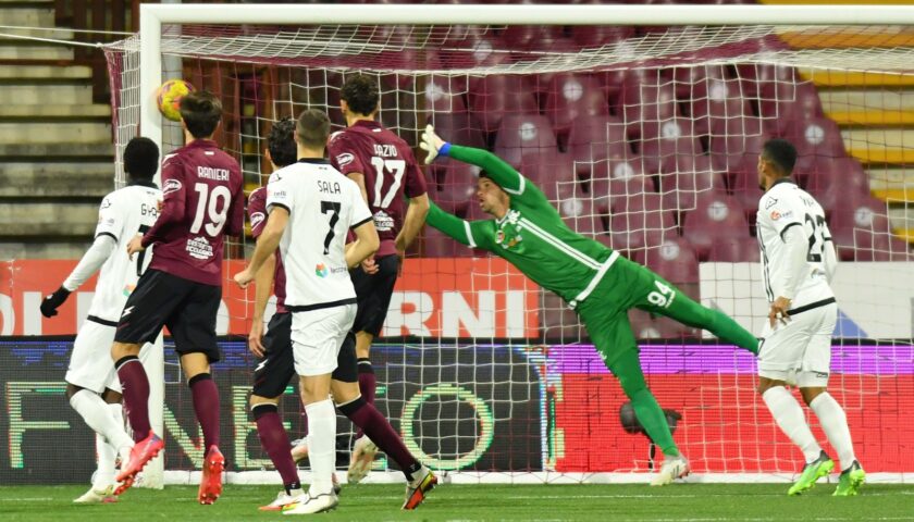 La fotogallery di Salernitana – Spezia