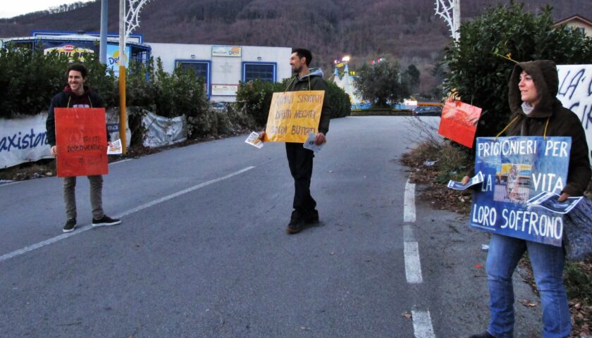 Circo a Salerno, appello in merito alle affissioni abusive ed organizzazione presidio