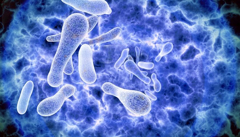 Nel 2021 in Campania 83 casi di Legionella, ispezionati 61 siti
