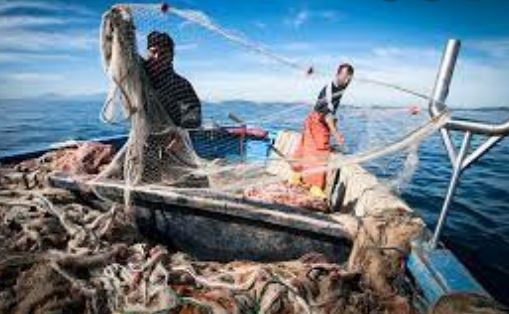 “Progetto pesca” domani consegna 500 cassette ecologiche ai pescatori