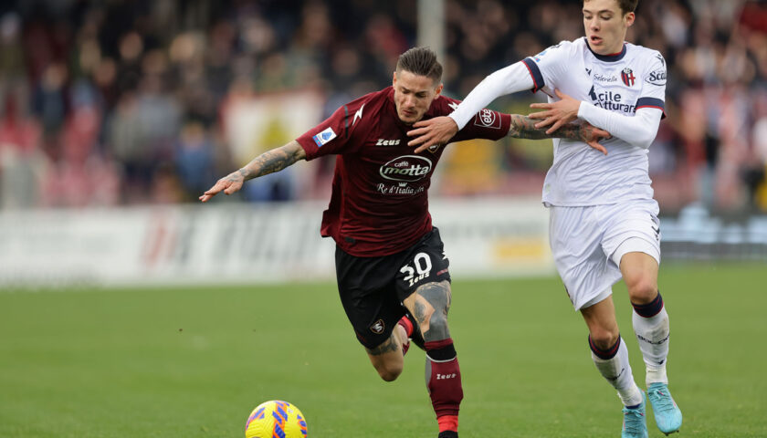 Precedenti in A tra Salernitana e Bologna all’Arechi, bilancio in parità