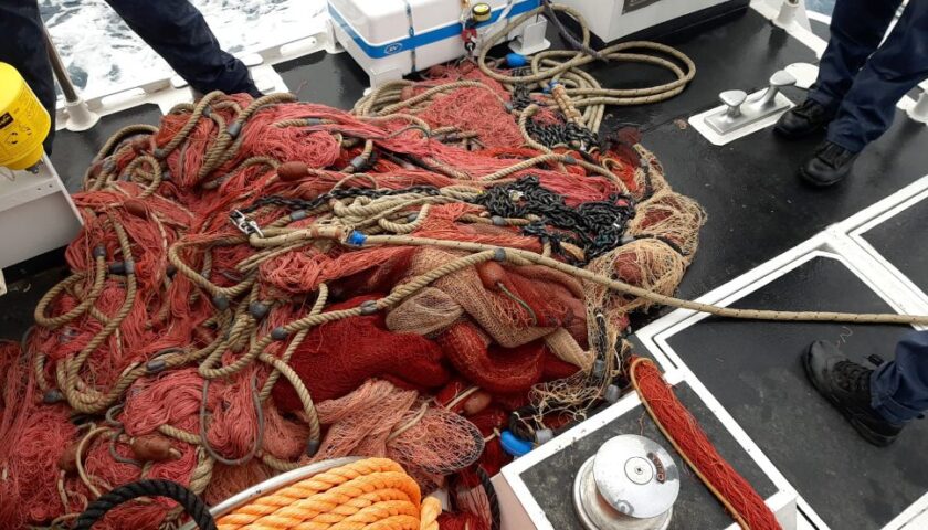 Pesca illegale di bianchetto a Sapri: sequestrata una sciabica.