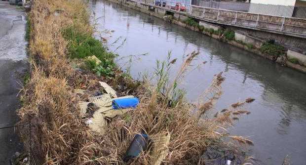 Fiume Sarno, atto vandalico al Rio Santa Marina a Sarno: distrutti oltre 120 metri di canneto